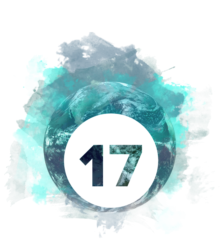 17