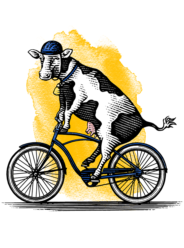 an illustration by Steven Noble of a cow on a bicycle