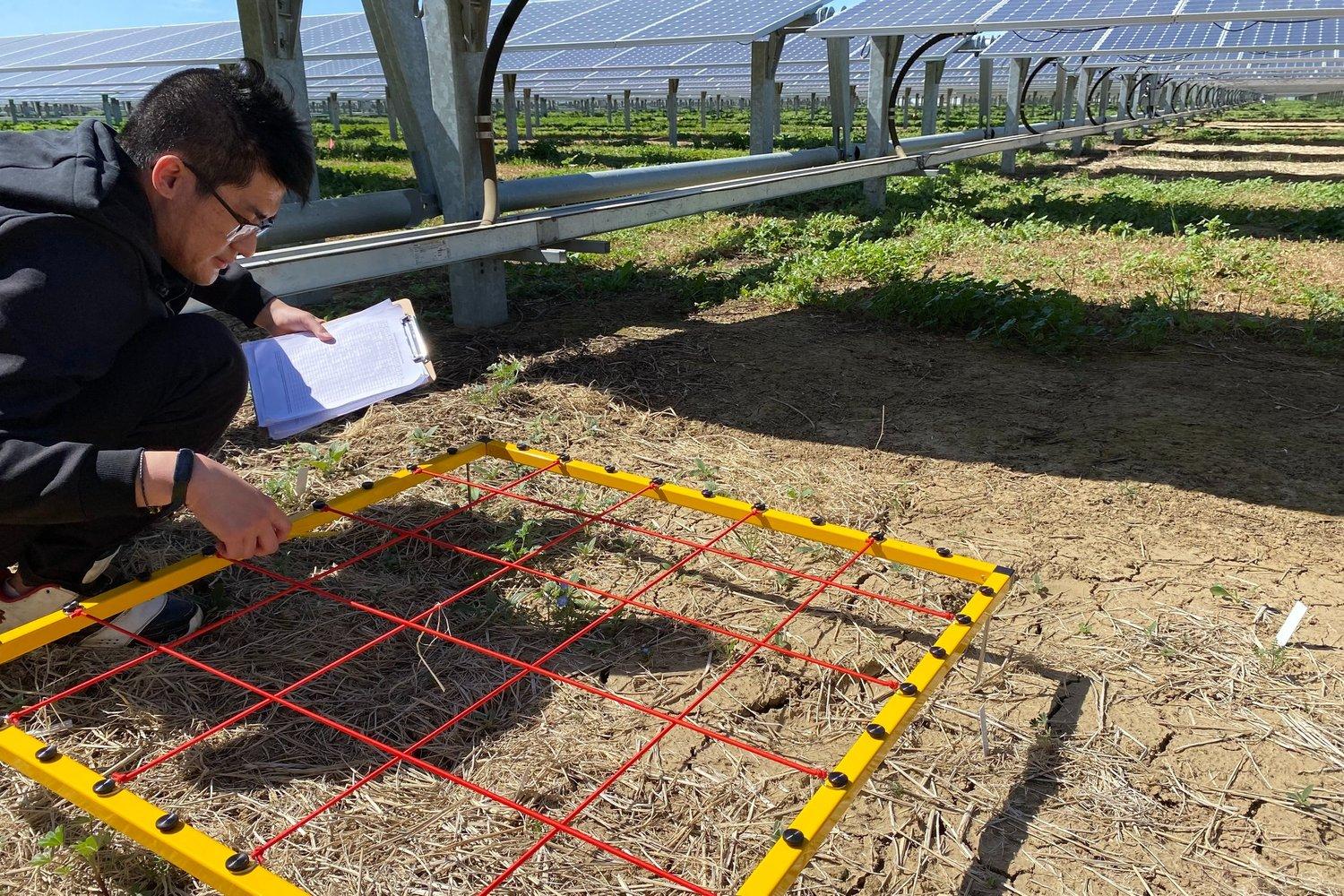 Working with earth