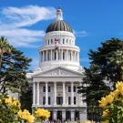 State Capitol