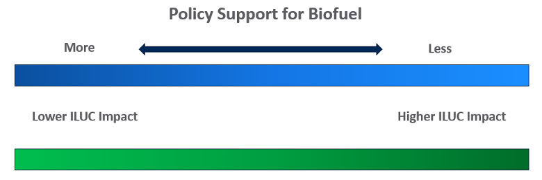 Policy support for biofuel